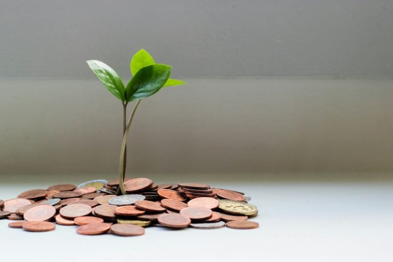 Personal Finance Basics: A Simple Guide to Getting Your Money in Order